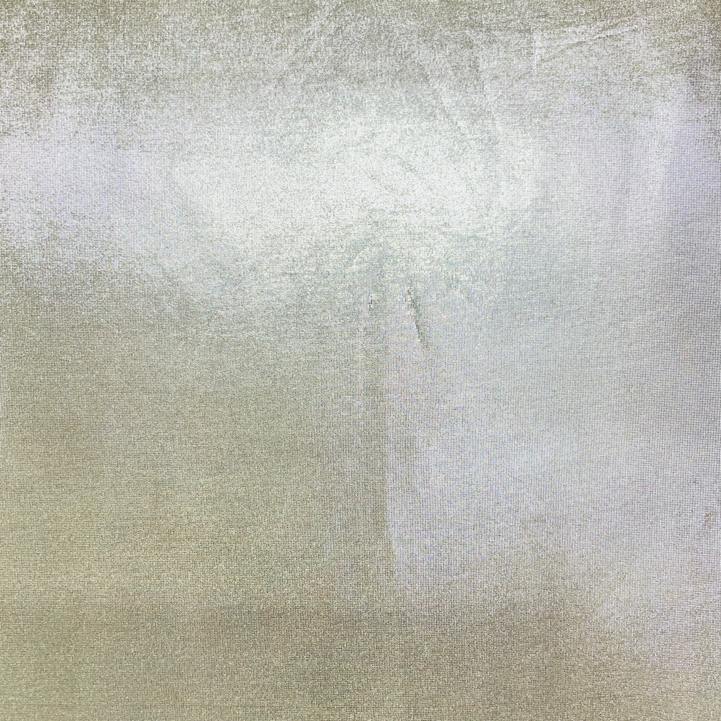 Grey Solid Foil Imported Knit Lycra Fabric - Image 2
