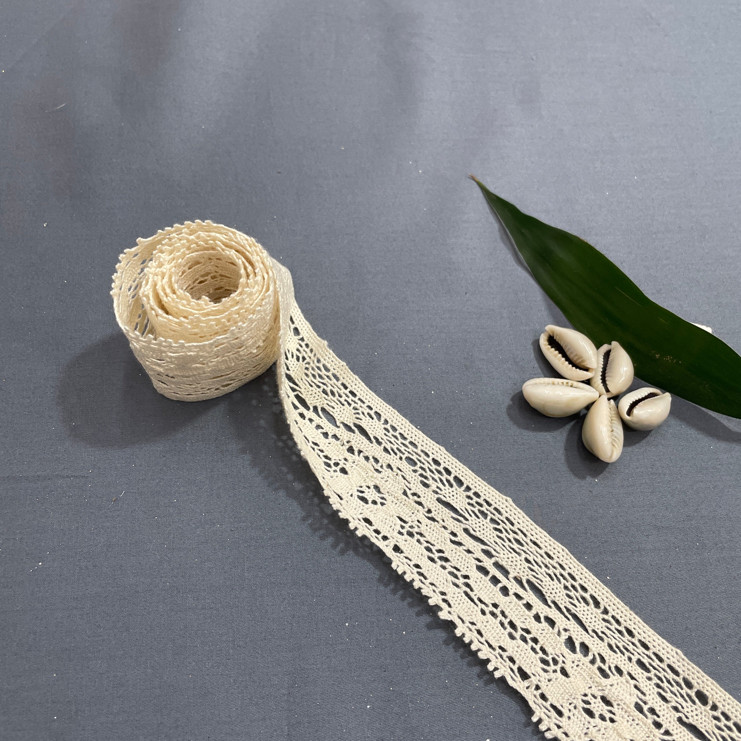 Off Cream Floral Dyeable Cotton Lace