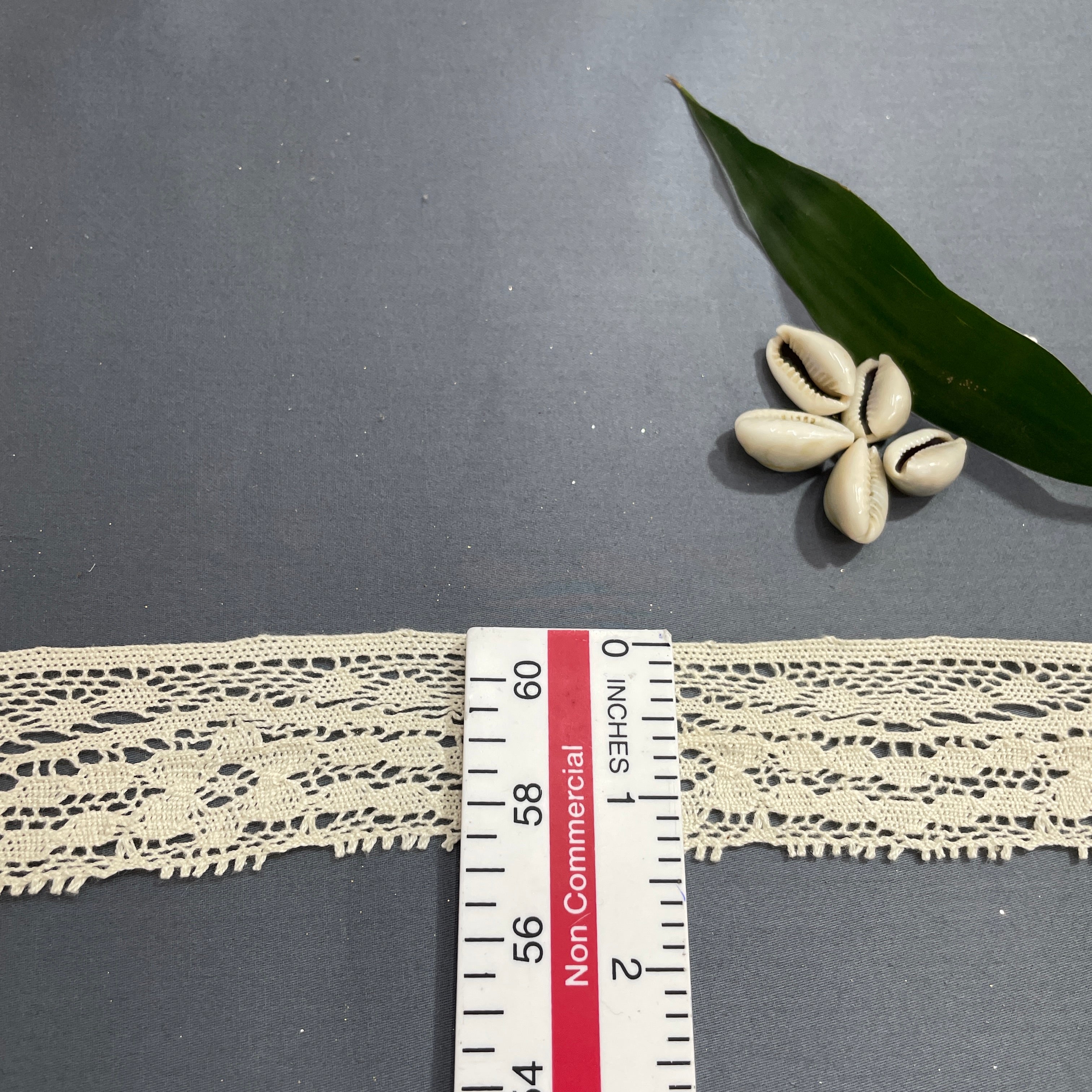 Off Cream Floral Dyeable Cotton Lace - Image 4