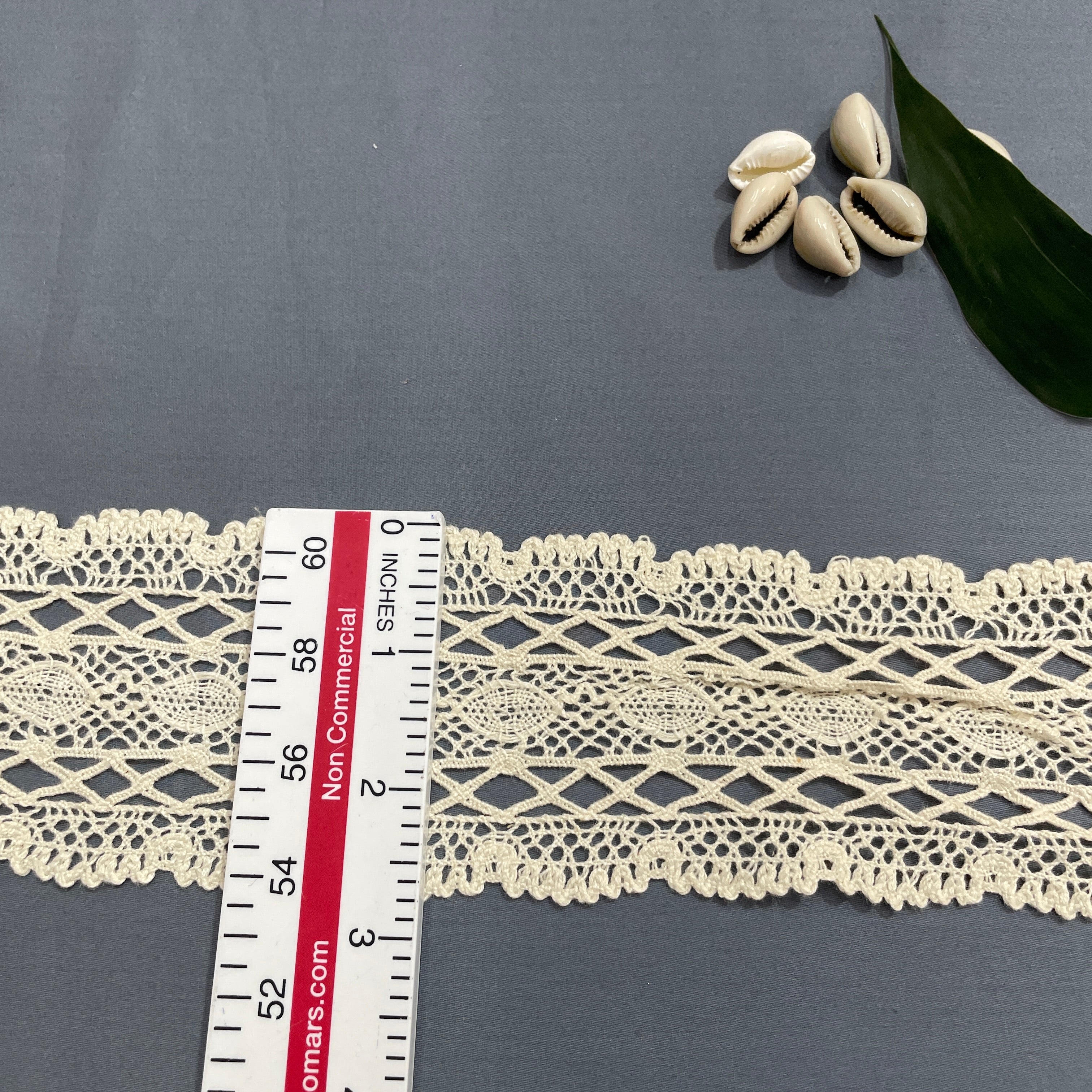 Off Cream Geomatric Dyeable Cotton Lace - Image 4