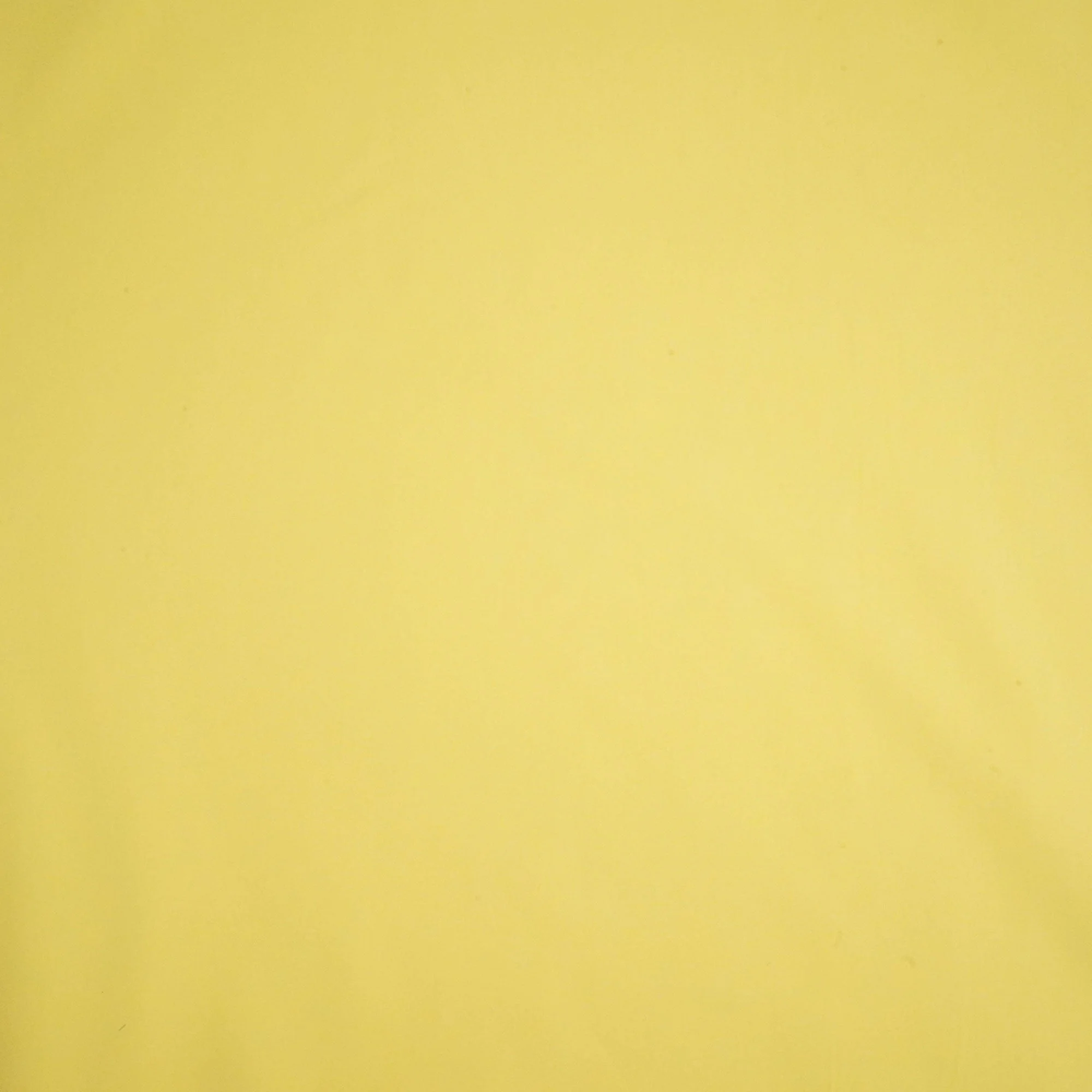 Yellow Solid Poplin Fabric LSF-24304 - Image 3